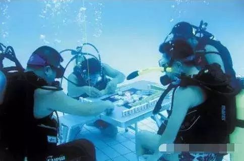 撿麻將玩游戲怎么玩_撿麻將玩游戲叫什么_撿麻將游戲怎么玩