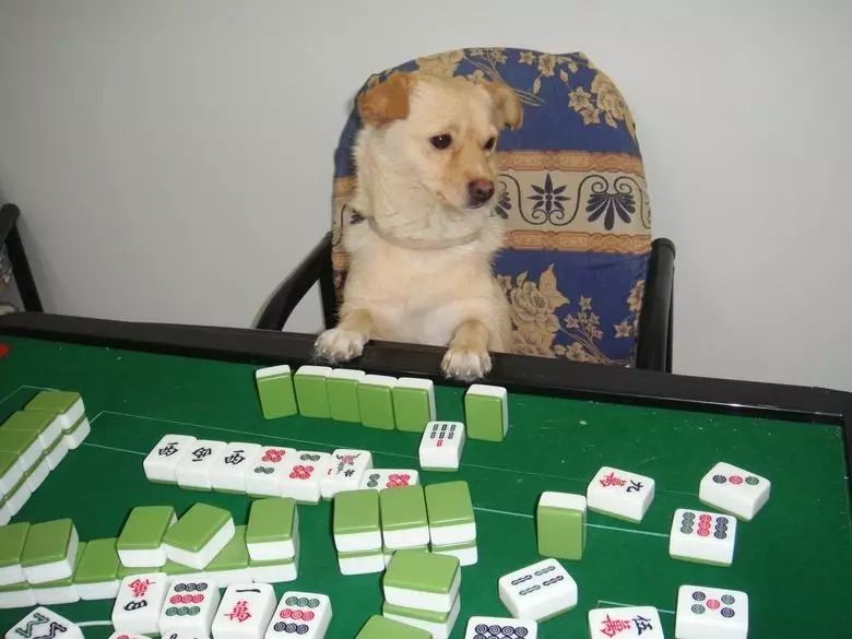 撿麻將游戲怎么玩_撿麻將玩游戲叫什么_撿麻將玩游戲怎么玩