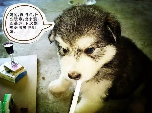 撿麻將玩游戲叫什么_撿麻將游戲怎么玩_撿麻將玩游戲怎么玩