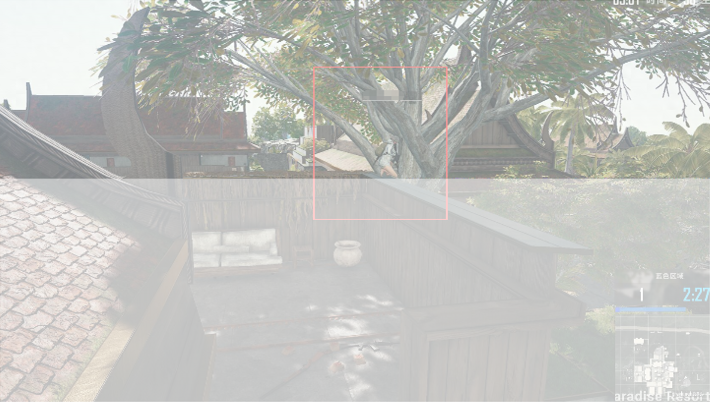 天堂島游戲攻略_游戲迷失島攻略_生存島游戲城堡答題攻略