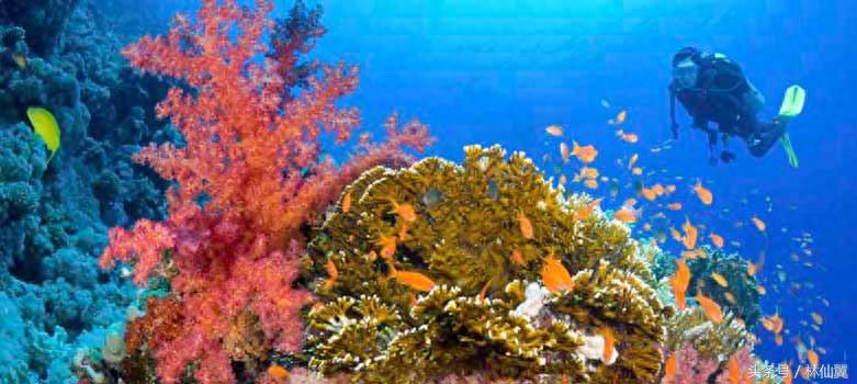 環(huán)灘島島住宿攻略_私生島游戲圖文攻略_天堂島游戲攻略