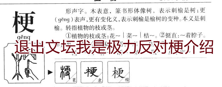 花語月游戲攻略_花語月是什么游戲_游戲花語月怎么玩