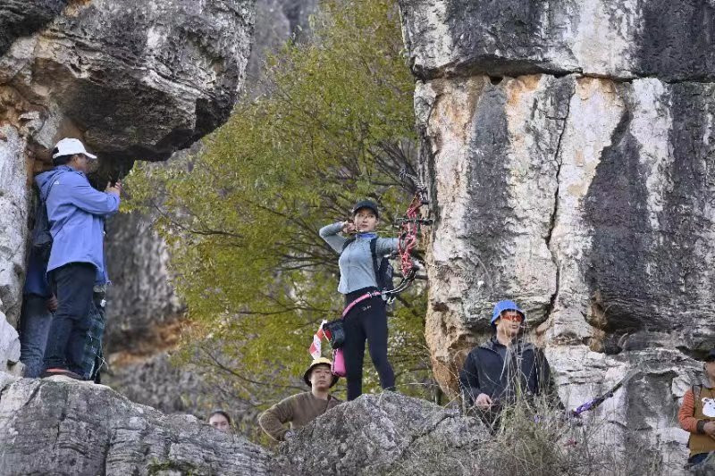 手機上荒野生存攻略