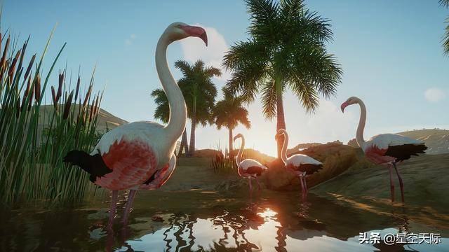 steam沒網(wǎng)怎么玩單機_steam沒網(wǎng)能玩單機嗎_沒網(wǎng)玩不了steam游戲