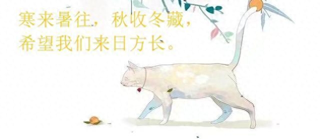 攻略男主游戲小說_攻略男主游戲有哪些_攻略男主的游戲