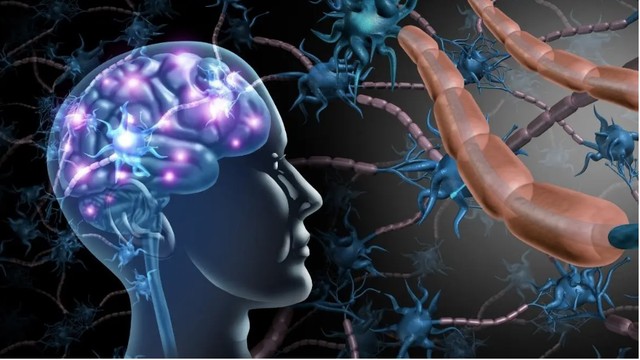 游戲點數字怎么玩_數字游戲怎么玩兒_數字游戲大合集